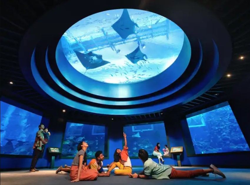 5 Helpful Tips You Should Know Before Visiting SEA Aquarium Singapore!